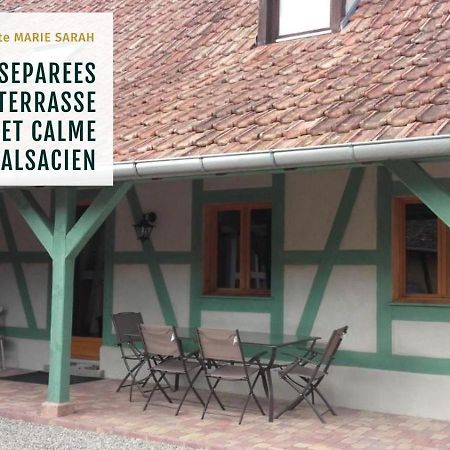 Gite Chez Marie-Sarah Petite Maison Calme Parking Ebersheim Exteriér fotografie